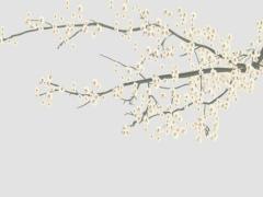 2025年6月進(jìn)六畜吉日 2025年6月10日