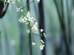 2025黃歷6月吉日查詢 2025黃歷6月宜求醫(yī)的吉日