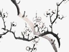 六月理發吉日黃歷2025年 6月理發吉日2025年老黃歷