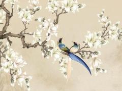 虎年今年運程怎么樣？,虎年今年的運程