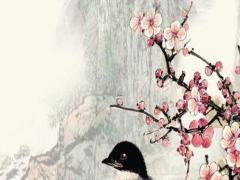 本命年紅繩女生戴哪個手,本命年紅繩女生帶哪個手