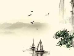 屬豬2025年桃花運(yùn)是誰(shuí) 2025屬豬的運(yùn)勢(shì)