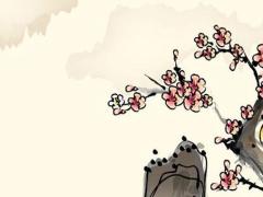 本命年屬兔的女兒戴什么首飾,屬兔女本命年戴什么轉(zhuǎn)運