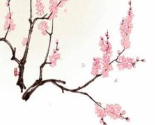1999年兔本命年注意什么,99年兔本命年結婚好嗎