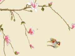 兔的本命年戴什么生肖掛件最好,屬兔本命佛的佩戴禁忌