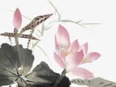 兔本命年能戴南紅嗎屬虎女,兔本命年戴什么屬相