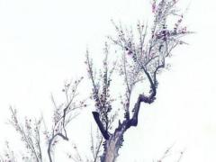 本命年兔戴貔貅好不好呢,本命年兔戴什么轉運