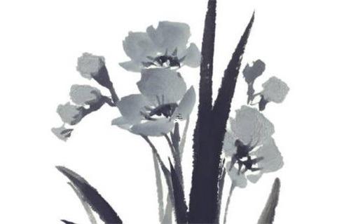 屬鼠的人今年財運怎么樣女性 1972屬鼠女性婚姻好嗎 屬鼠的人今年財運怎么樣女性 1972屬鼠女性婚姻好嗎