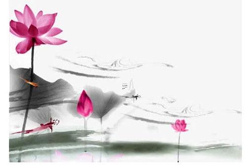 2013年出生屬蛇一生幸運(yùn)色,2013年出生的蛇寶寶幸運(yùn)色