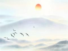 1998屬虎三大坎,1998屬虎一生三大劫難