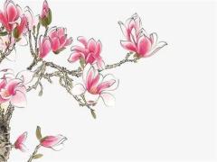 72年屬鼠的今年運程怎么樣 屬猴今年運氣怎樣