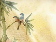 屬馬的2025年多少歲 2025年屬虎的幾歲了