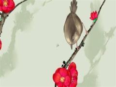 本命年兔適合戴什么婆婆飾品,屬兔的本命年可以穿紅色嗎
