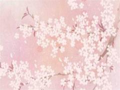 屬蛇人今年財(cái)運(yùn)怎么樣 屬蛇人6月提車(chē)吉時(shí)