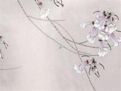屬兔人本命年戴什么手鏈好一點(diǎn),屬兔的戴什么本命佛