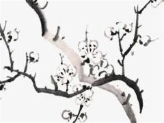 本命年和寡年能結婚嗎屬兔男,本命年遇上寡婦年可以結婚嗎