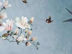 屬兔本命年帶什么鐲子好,屬兔的本命年可以穿紅色嗎