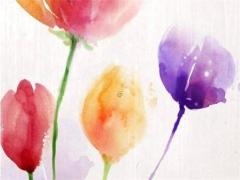 2025年4月19日屬兔人運勢 2025年4月24日屬兔運勢
