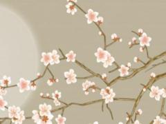 2025屬羊人全年運勢 79年羊2025年運勢