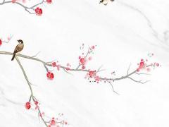 屬兔本命年能帶龍嗎女,兔年本命年女性佩戴什么好
