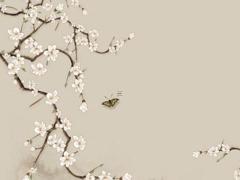 03的羊今年婚姻和運(yùn)氣 03年的羊今年有桃花運(yùn)嗎