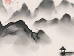 屬兔的要種什么植物最好,屬兔種什么植物比較好