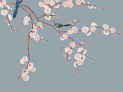 雙子座2025全年運(yùn)勢(shì)如何 陶白白講雙子座運(yùn)勢(shì)