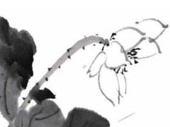 兔本命年注意些什么生肖呢,兔本命年好嗎
