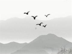 2025年1月3日吉時是幾點(diǎn) 2021年1月23日吉時是幾點(diǎn)