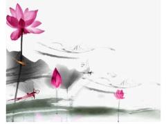 2013年出生屬蛇一生幸運(yùn)色,2013年出生的蛇寶寶幸運(yùn)色