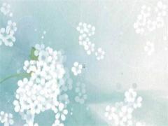 屬兔本命年能搬家入宅嗎女,屬兔本命年好不好