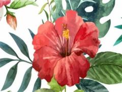 為啥本命年要穿紅的,本命年為何要穿紅的