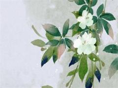 82屬狗女一生桃花運年齡,82年屬狗女一生有幾次桃花