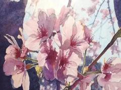 屬兔本命年九月十七生日好嗎,屬兔九月十七生的好嗎