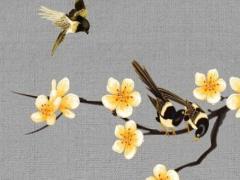 99年3月的兔是什么命,99年3月出生的人什么命