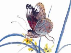 屬蛇的今年財(cái)運(yùn) 屬蛇財(cái)運(yùn)最旺的手鏈