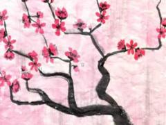 本命年兔5月適合戴什么飾品,本命年5月份運勢如何