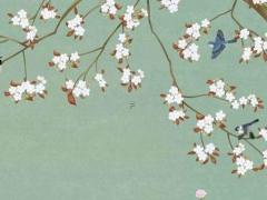 87年5月兔子是什么命,87年兔五月份出生是什么星座