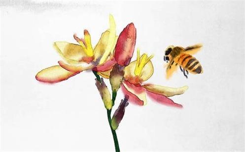七四年屬虎的今年財(cái)運(yùn) 屬虎財(cái)運(yùn)最旺的是哪年