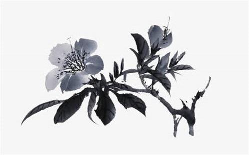 本命年兔適合戴什么水晶吊墜,本命年兔戴什么轉(zhuǎn)運(yùn)