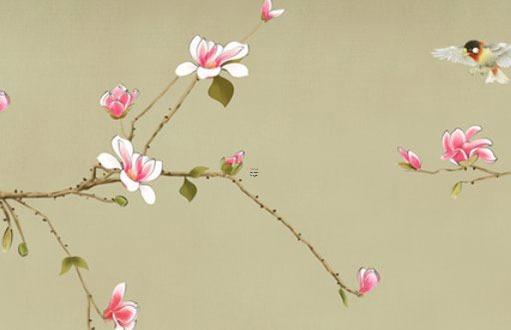 本命年兔適合戴兔子嗎,本命年兔戴什么轉(zhuǎn)運