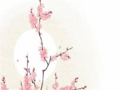 女鼠本命年可以結(jié)婚？,女鼠本命年可以結(jié)婚嘛