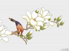 屬羊顏色最旺有幾種,屬羊人顏色是什么