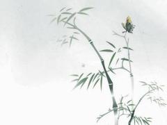 明年兔本命年是多少歲啊,明年兔年的人命數好嗎