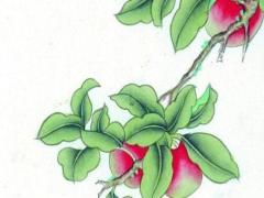 屬龍今年犯太歲怎么破解 屬龍?zhí)珰q年都有哪幾年