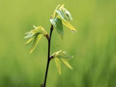 夢(mèng)見(jiàn)人多的場(chǎng)面好不好