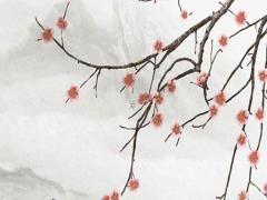 1979年屬羊女在2025年運勢如何 67年屬羊人晚年運勢
