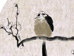 1976年的人今年幾歲 1976年的人多少歲了