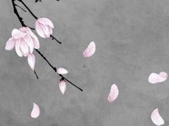 1974屬虎今年的運氣好不好 屬猴今年運氣怎樣