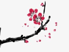 83年屬豬的2025年多大 83年屬豬人婚姻運